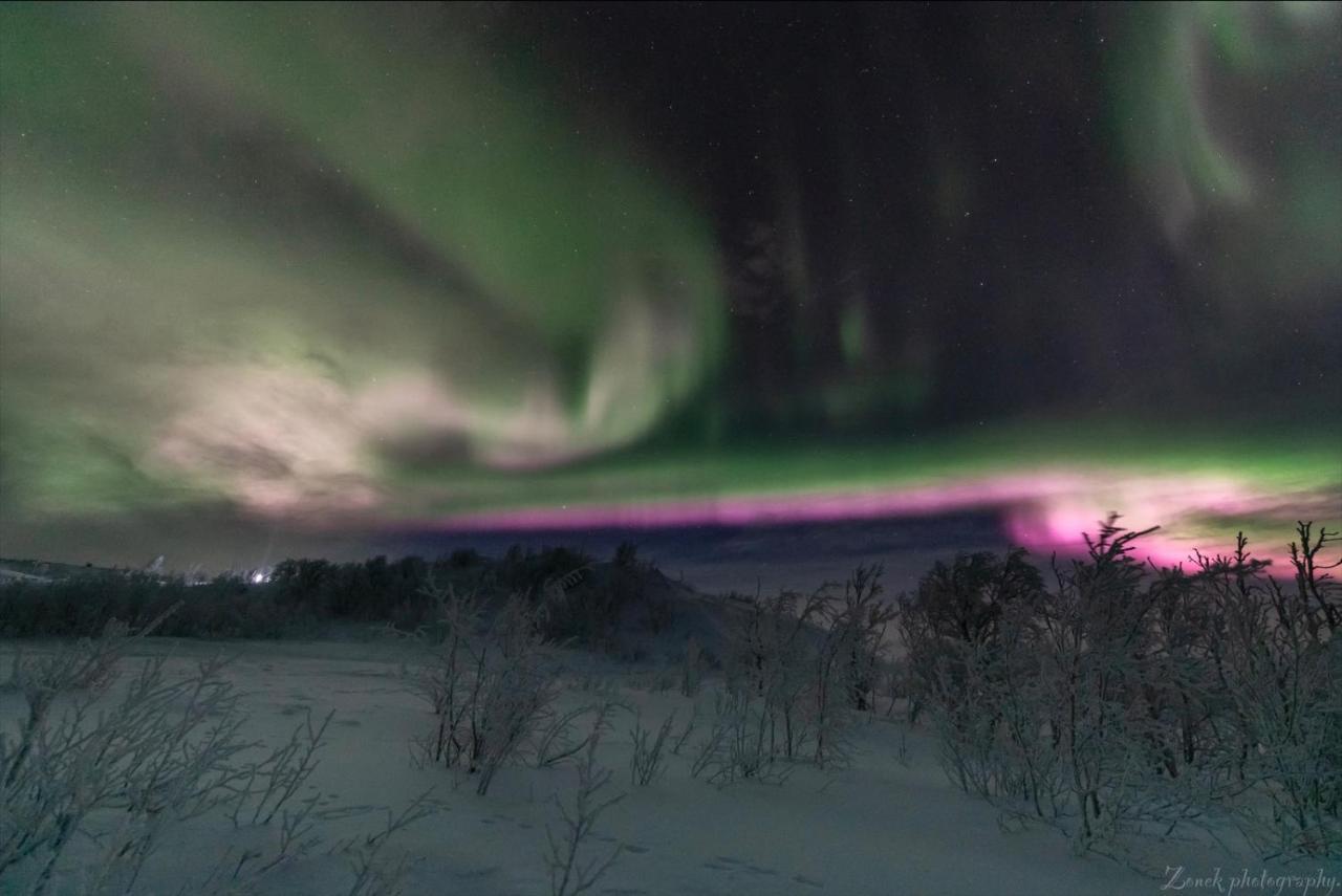 Abisko Guesthouse & Activities Exterior photo